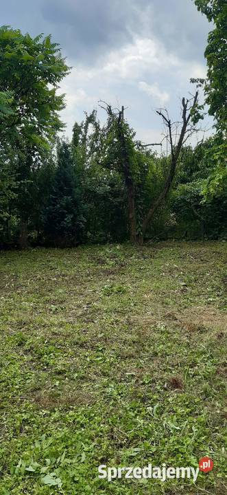 Działka Młodzieszyn