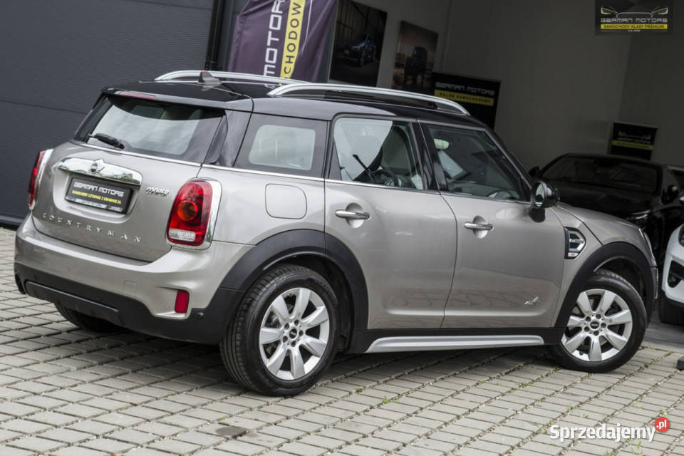 Mini Countryman LEDY LIFT 4x4 Navi Elklapa Countryman pomorskie