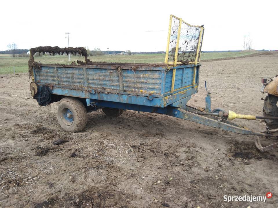 Rozrzutnik czarna białostocka nieuszkodzony Sztabin