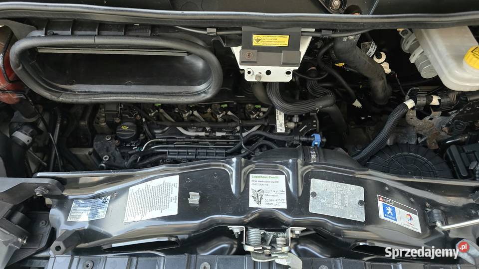 Peugeot Boxer Doka Nowy Świętów
