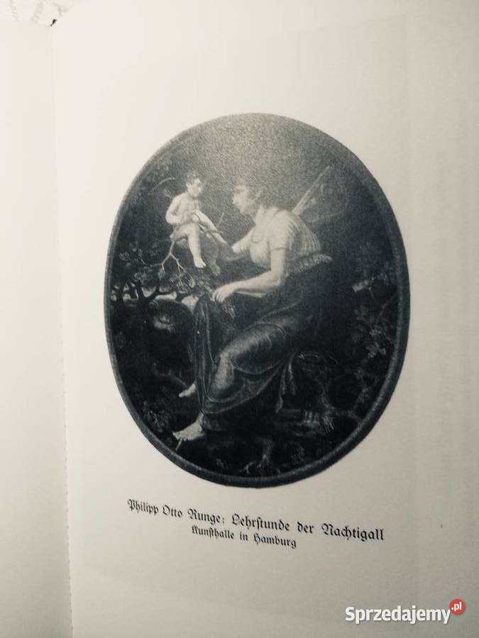 3771 Pommerland Ein Heimatbuch Szczecin sprzedam