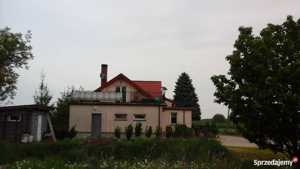 Sprzedam dom 300 m2 i działka 1ha staw wielkopolskie Kramsk sprzedam