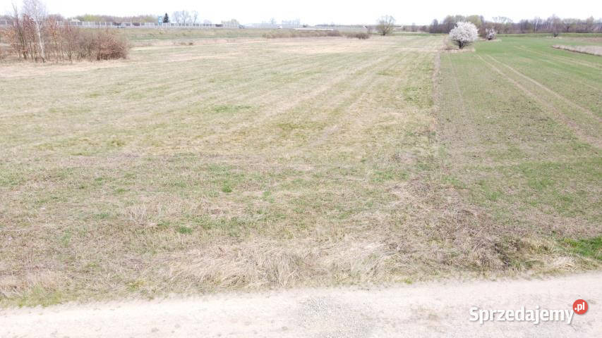 sprzedaży gruntu 5502m2 Krzeczów utwardzona