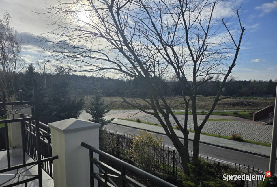 Spokój natury bliskość miasta zamieszkaj już w 9777zł/m2 Katowice