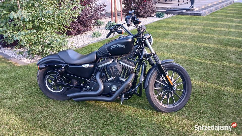 HarleyDavidson Iron Sportster bezwypadkowy