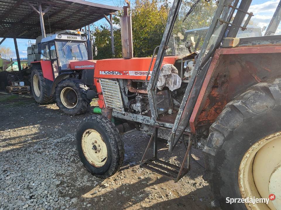 Ursus C385 Zetor Paczków sprzedam