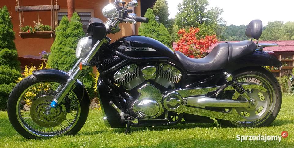 Piękny okaz Harley Davidson V ROD 2004r szprychy 1200cm3 małopolskie Kalwaria Zebrzydowska