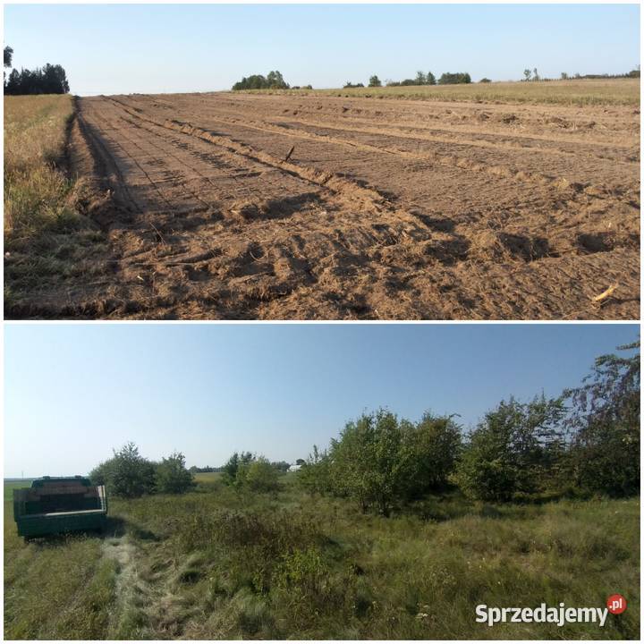 Cięcie łupanie sprzedaz drewna Usługi rebakiem Bielsk Podlaski sprzedam