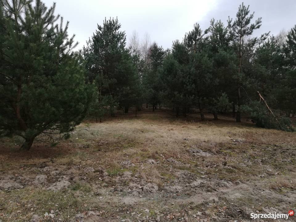 Działka 6600 m2 Józefów Widawski łódzkie