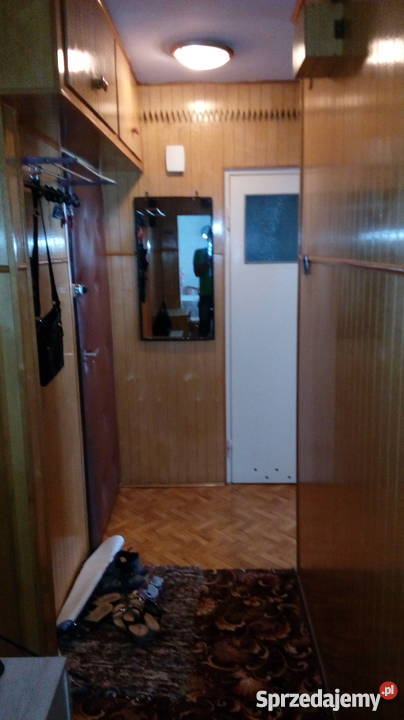 sprzedam mieszkanie Płońsk 455 m2 664374704 3 piętra i więcej