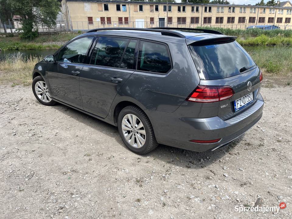 Volkswagen Golf VII 16 TDI kombi 2018 Golf lubuskie Zielona Góra