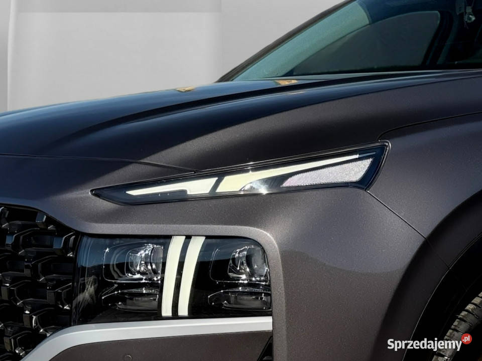 Hyundai Santa Fe FUL LED panorama skóra kamery Otmuchów