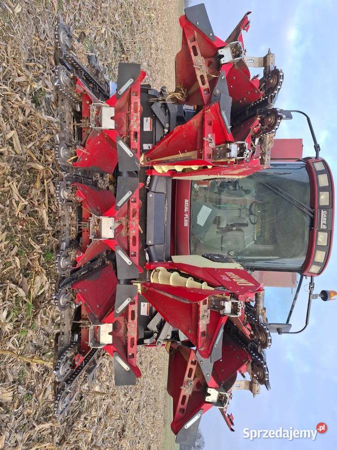 Przystawka do kukurydz Olimac Drago 2