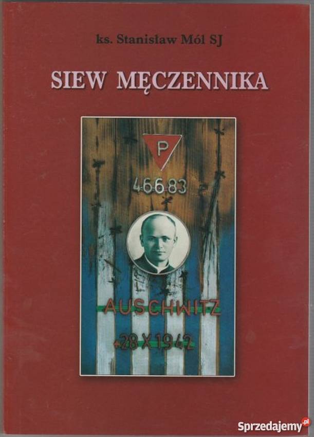 SIEW MĘCZENNIKA MÓL STANISŁAW kujawsko-pomorskie Włocławek