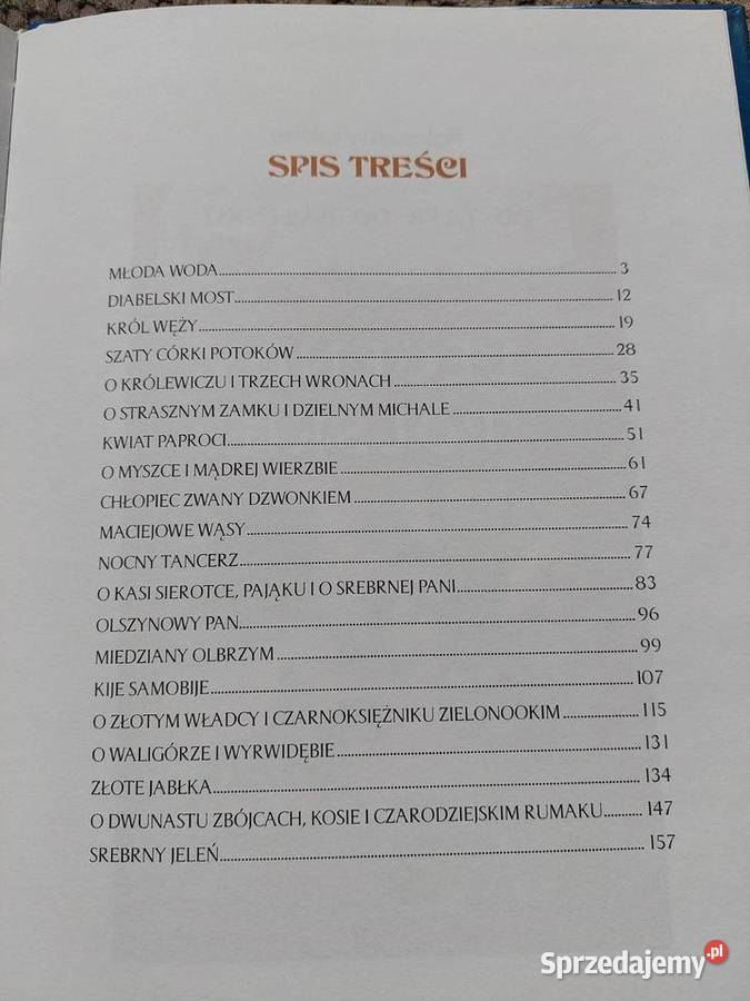 Baśnie polskie oprac AA Zięba twarda Kraków