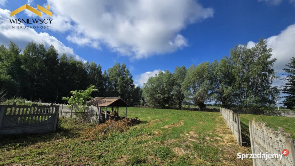 Siedlisko ze stawem w Wiśniewie Sprzedaż Wiśniewo