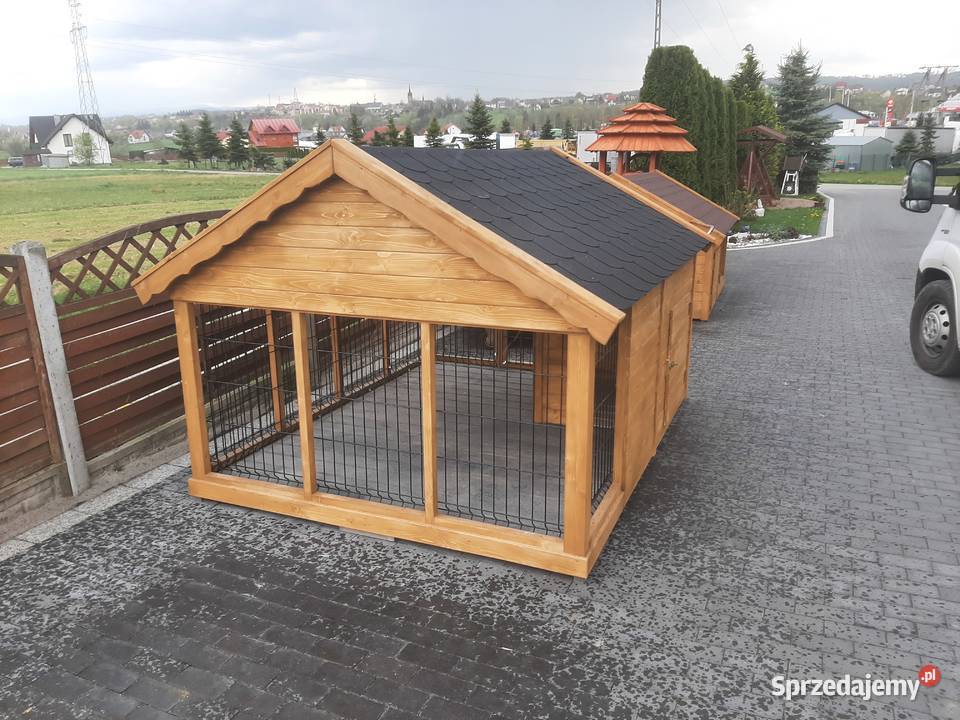 Buda psa Kojec
