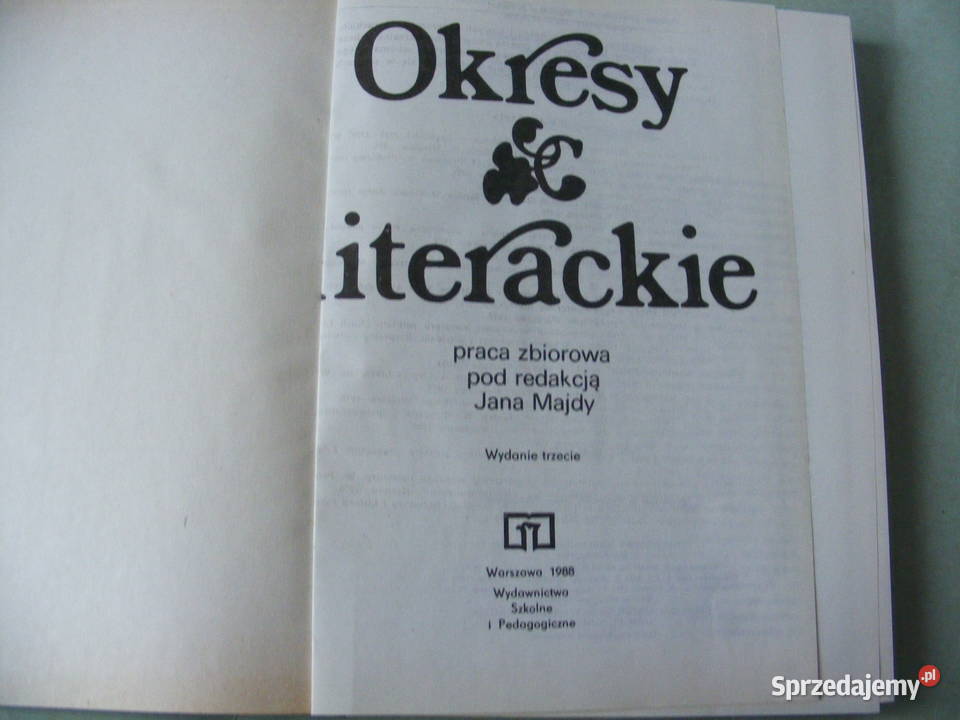 Zrozumieć Średniowiecze Mazurkiewicz Okresy Książki naukowe i popularnonaukowe Oborniki Śląskie