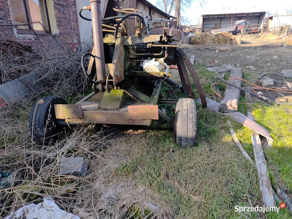 Cyklop nieuszkodzony Zabrze