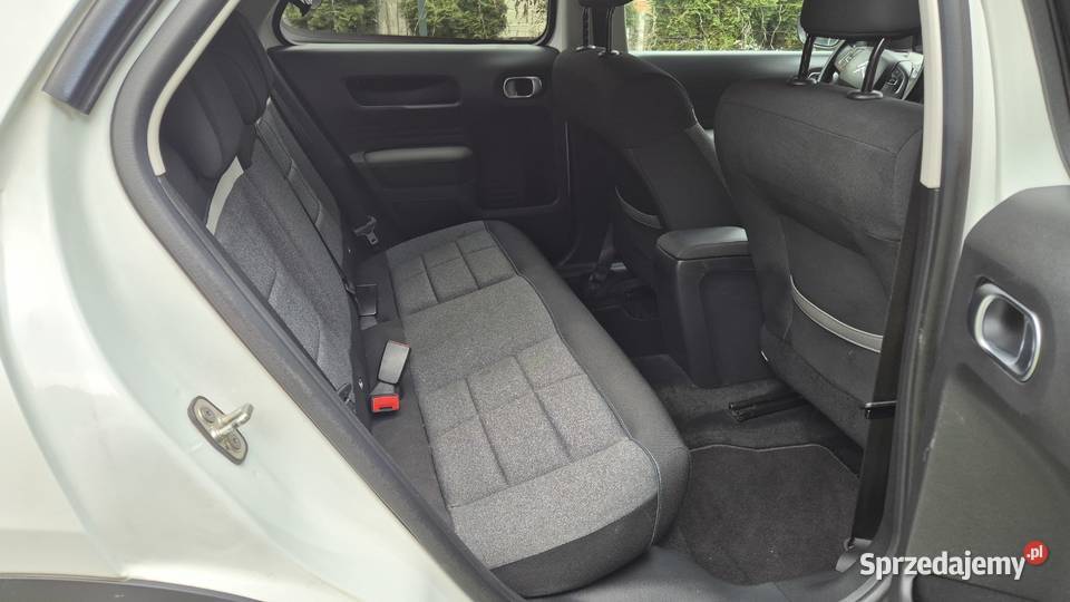 C4 CACTUS 12 110 OPŁACONY C4 Cactus Rzeszów