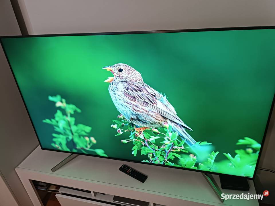 Telewizor 65 4k Sony KD65XF8505 android Libiąż