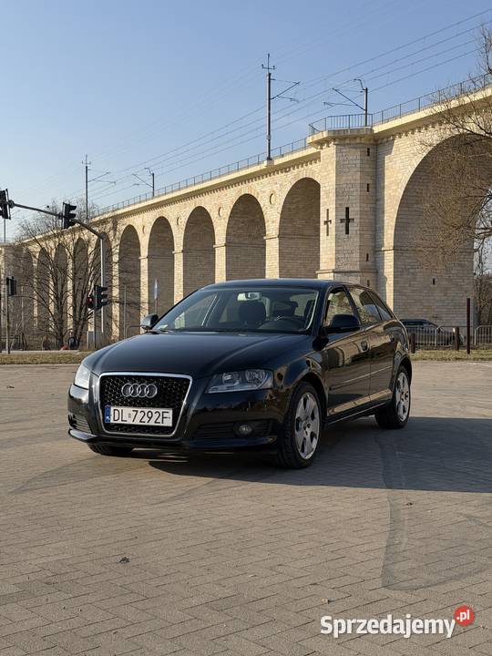 AUDI A3 8P Sportback 20 TDI Nowy Rozrząd Zadbana Bolesławiec
