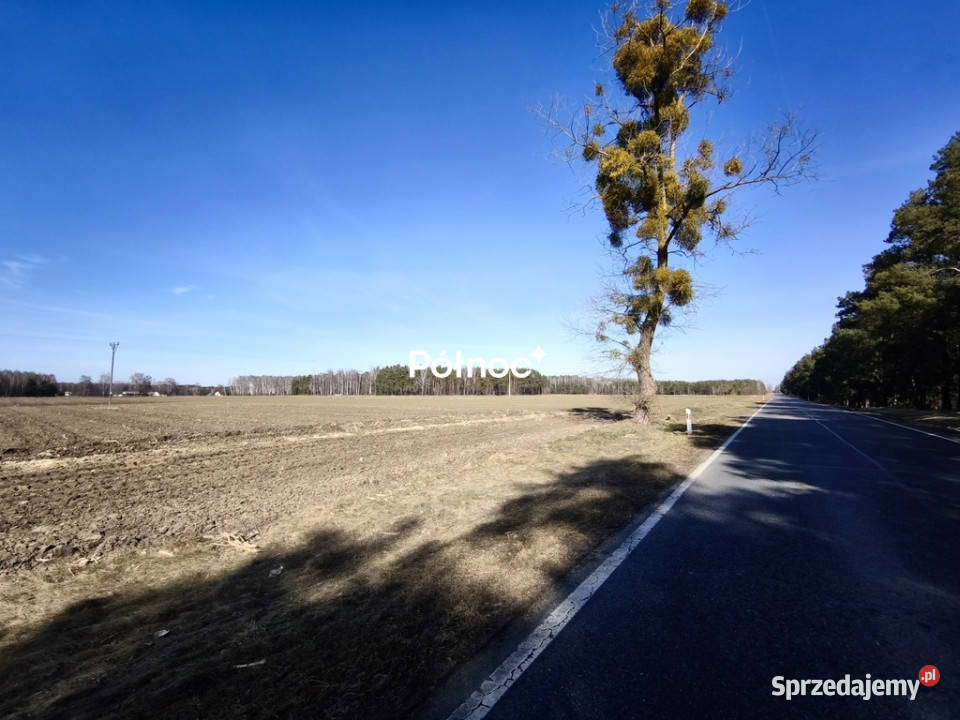 Działki budowlane Elżbiecin gmina Kodeń Sprzedaż sprzedam
