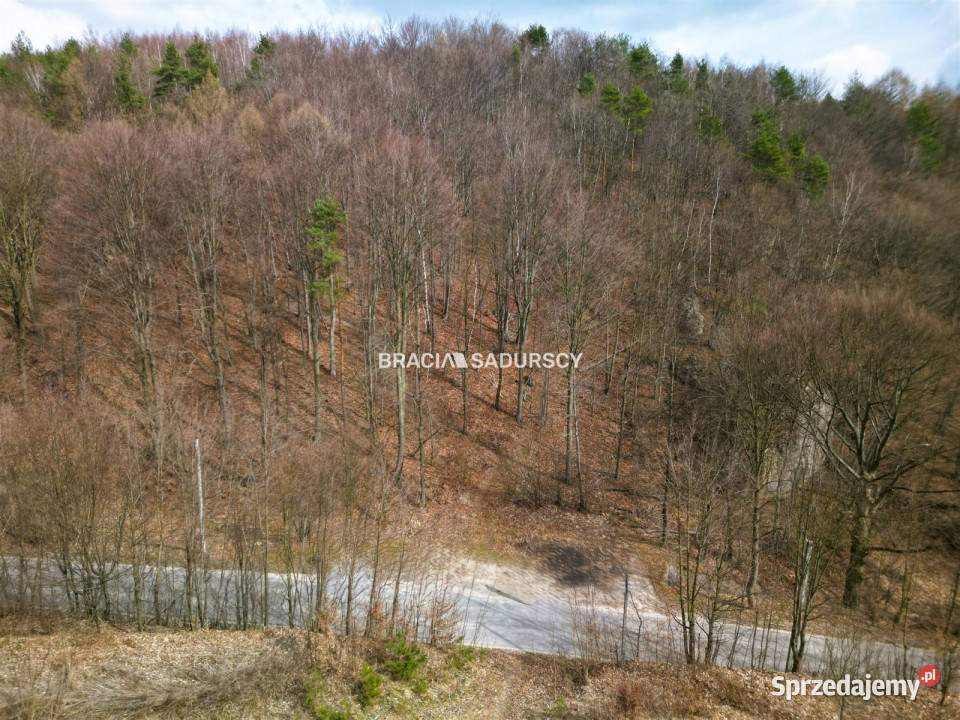 Działkę sprzedam Jerzmanowice Zachodnia 700m2 asfalt