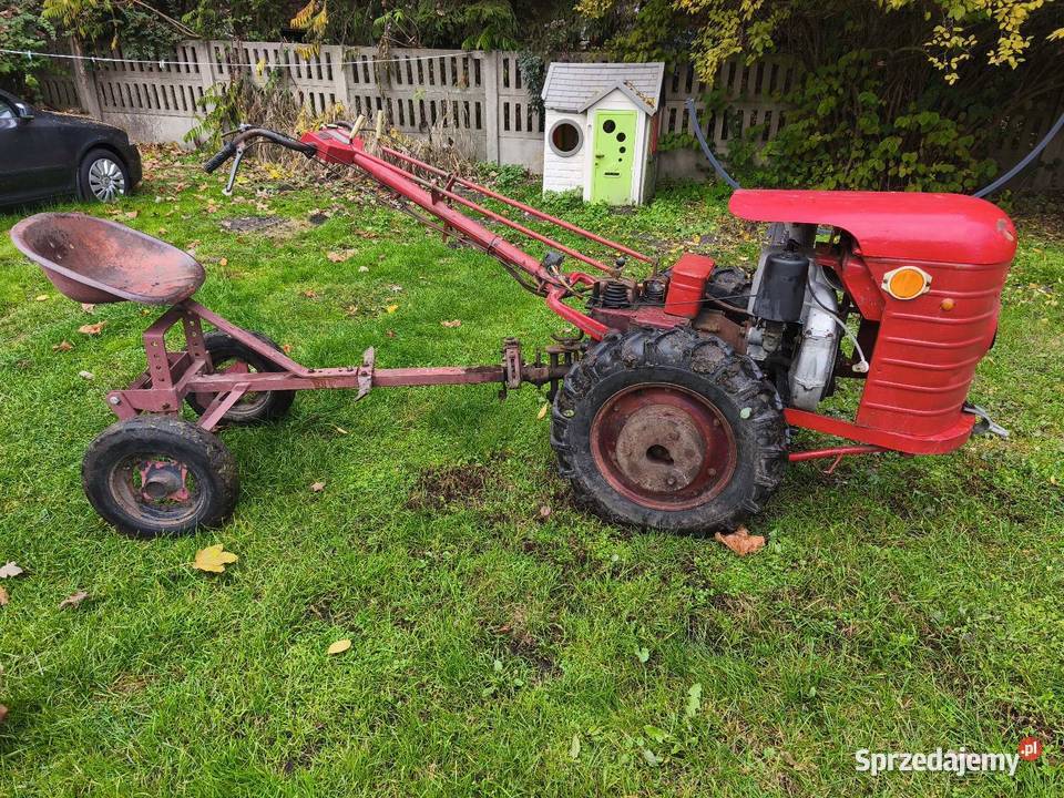 Sprzedam Dzika 21 Lubartów