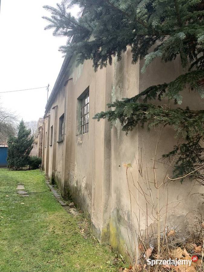 Sprzedam nieruchomość stolarnia tartak Sędzisław