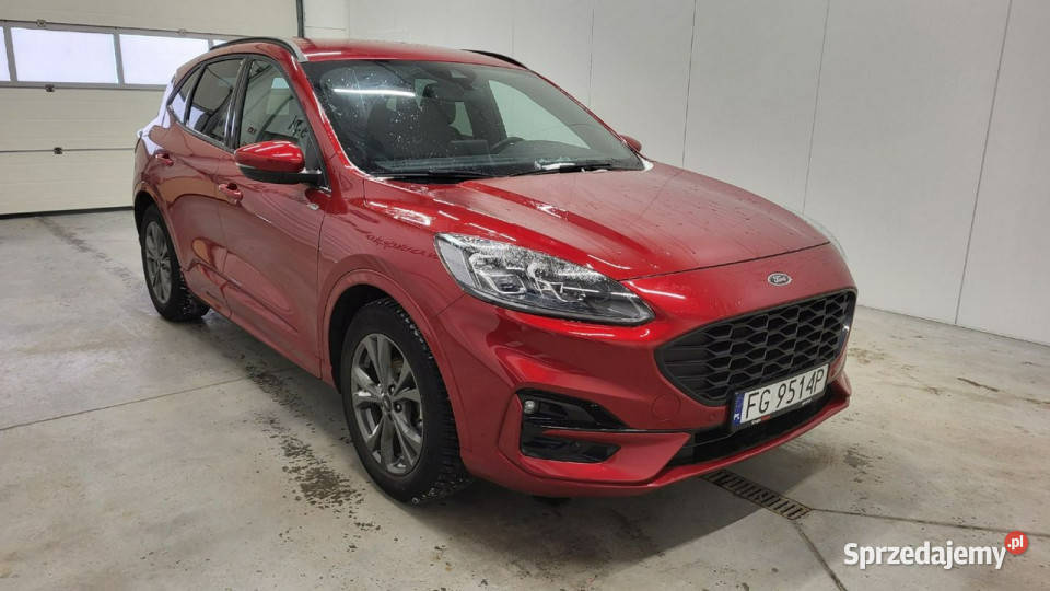 Ford Kuga 25 FHEV FWD STLine X III 2019 światła LED