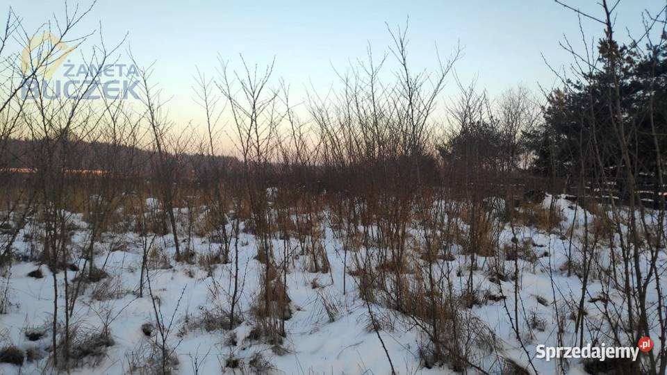 Sprzedam działkę inwestycyjną 482 ha w Brochowie 210m