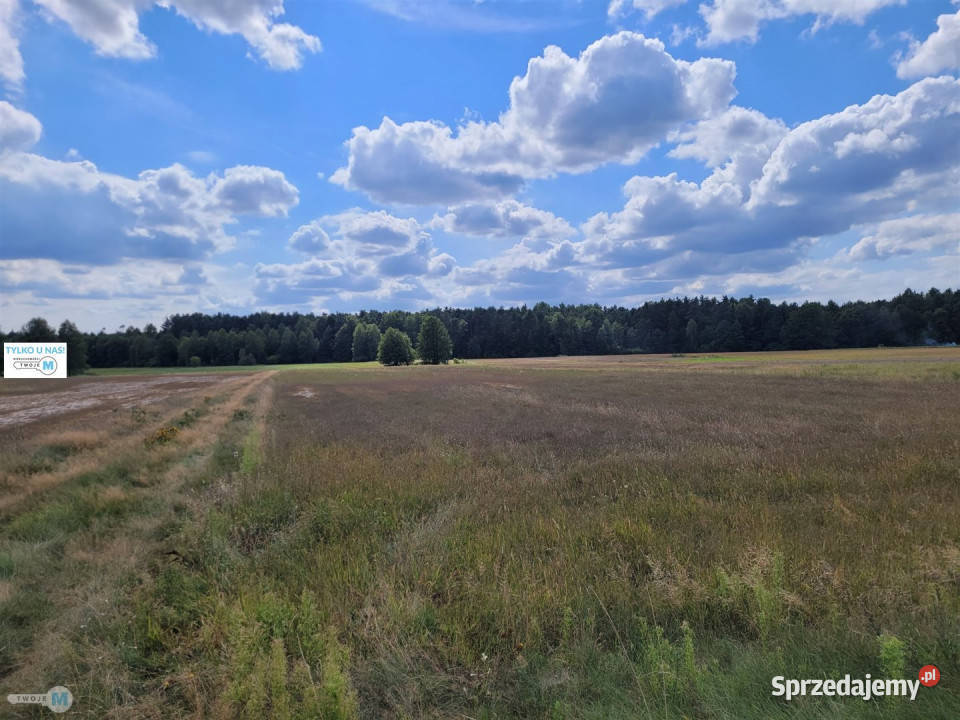 Działka 8000m2 Kluczewsko gaz sprzedam