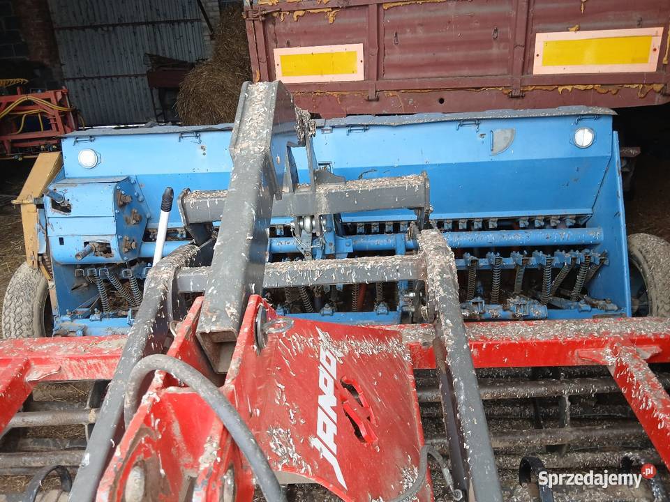 Siewnik poznaniak Skierniewice