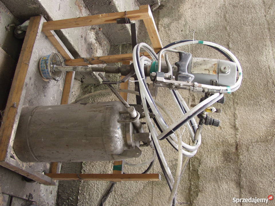 żelkociarka Biała Podlaska sprzedam