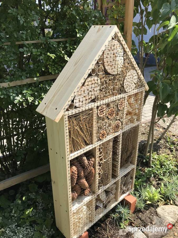 Domek owadów OGROMNY zachodniopomorskie Sławno