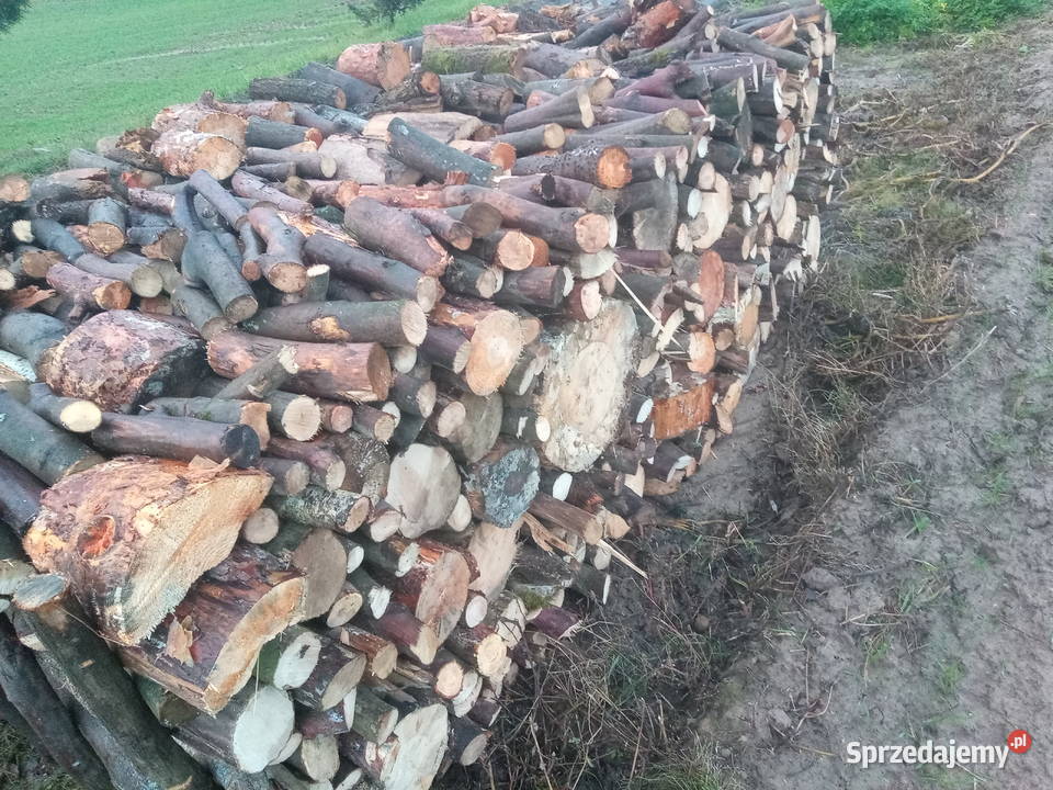 Drewno opałowe