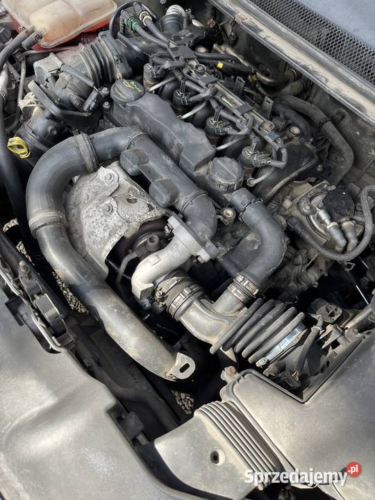 Ford w kondycji mechanicznej 1600cm3 Szczecin