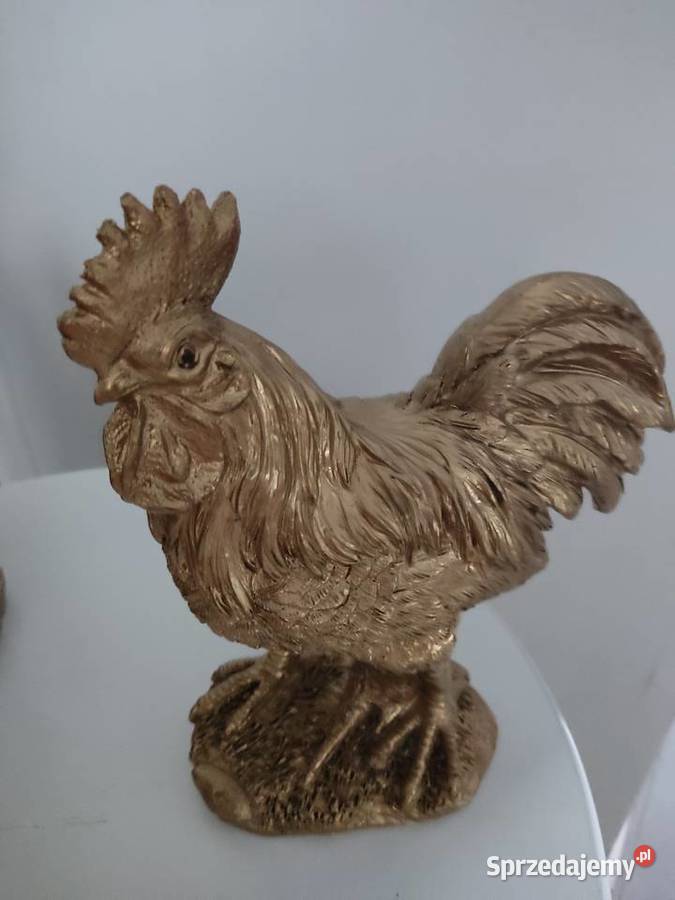 Złote kury inny kolor Straszęcin