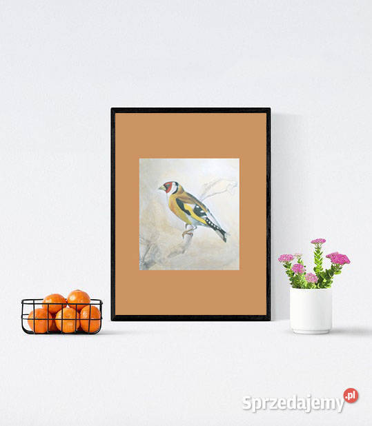 reto plakat z ptaszkiem vintage obrazek A4 ptak