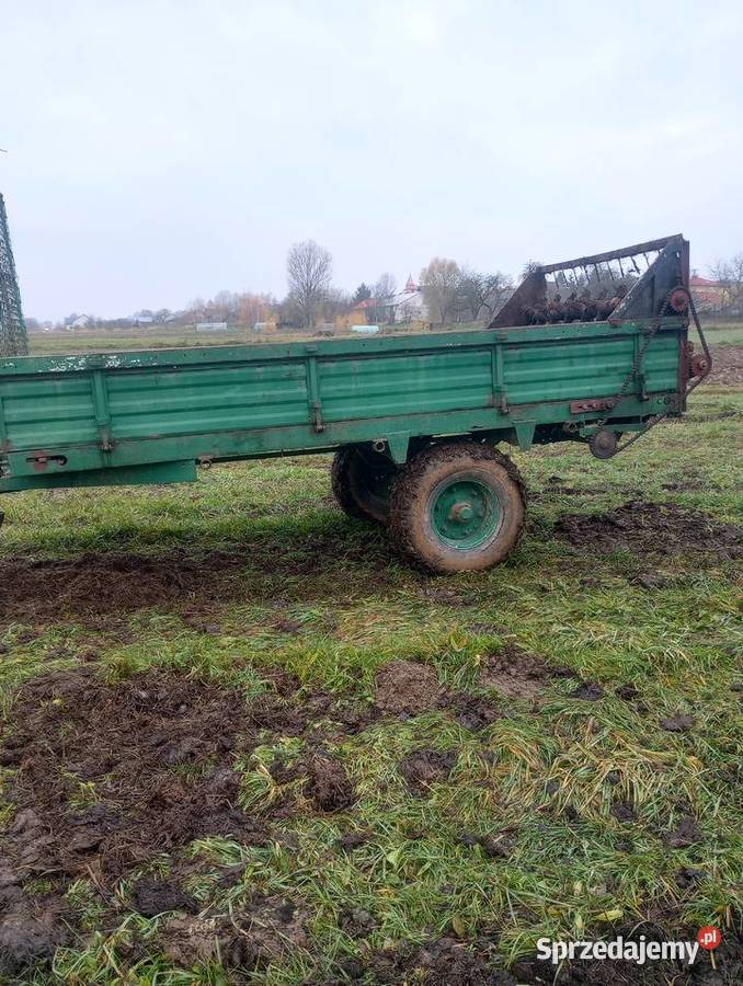 Rozrzutnik Pozostałe