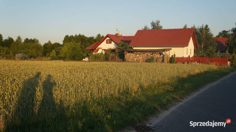 Wiejska posiadłość na krańcu wsi 082h staw basen dolnośląskie Dziadowa Kłoda