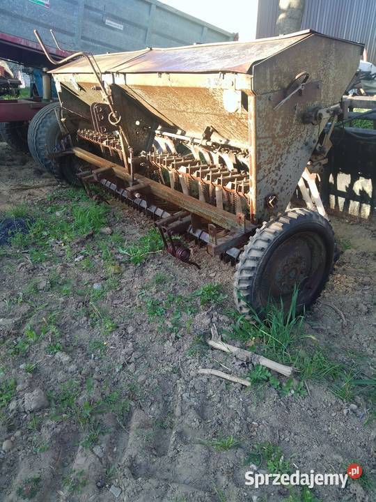 Siewnik małopolskie