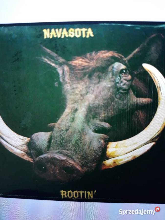 Archiwum blues rocka NAVASOTA Rootin 1972 Rzeszów