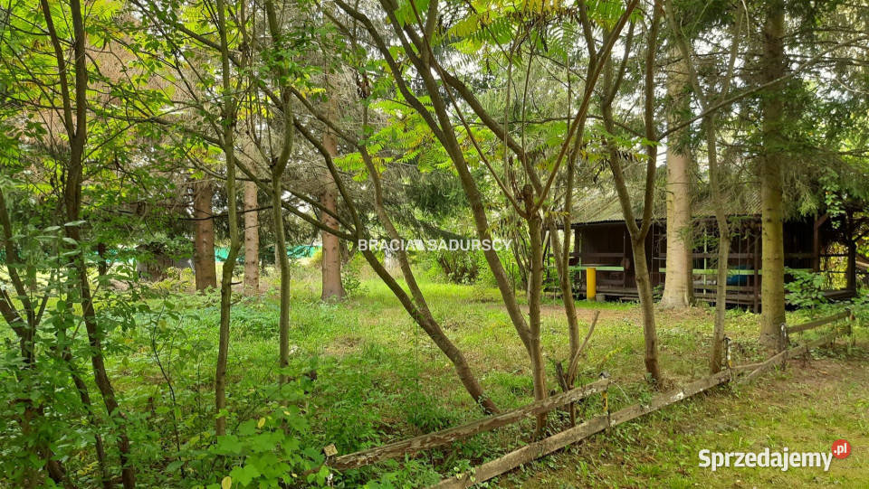 Grunt Lusina 450m2 122zł/m2