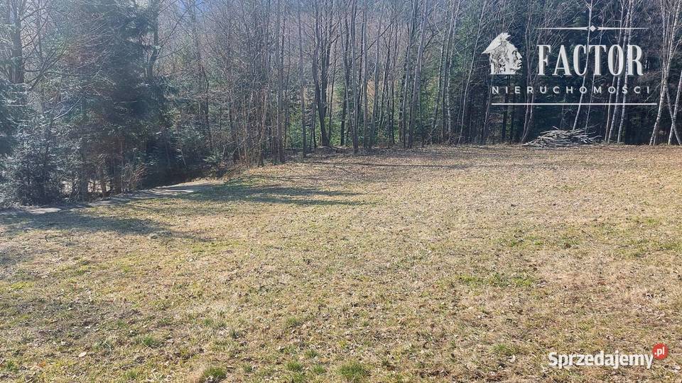 Widokowa działka budowlana 1279 ara Bieśnik gm małopolskie