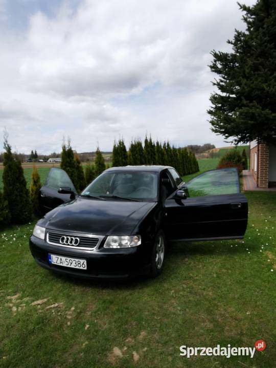 Sprzedam Audi A3 Audi Zakłodzie