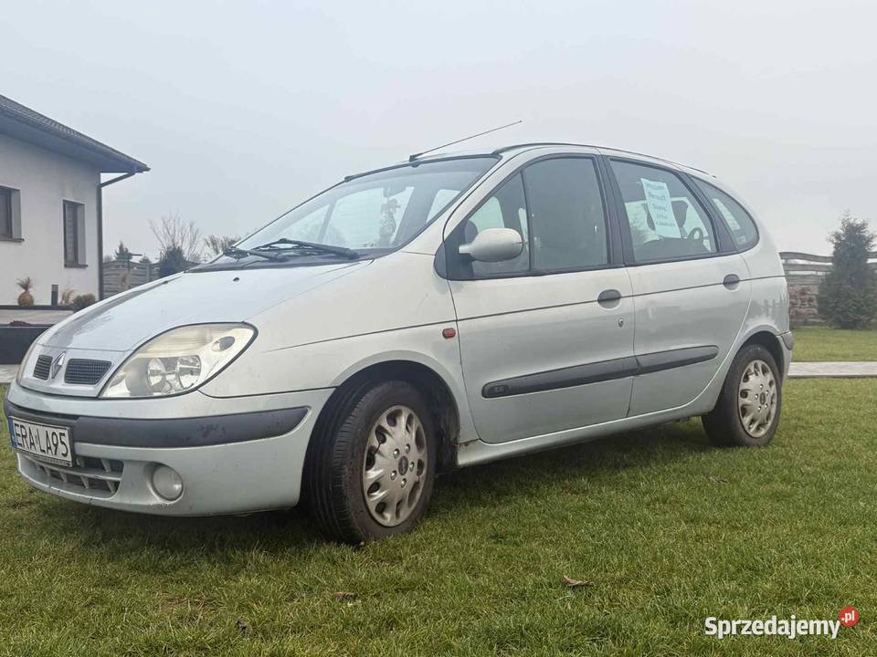 Renault Scenic Wielgomłyny