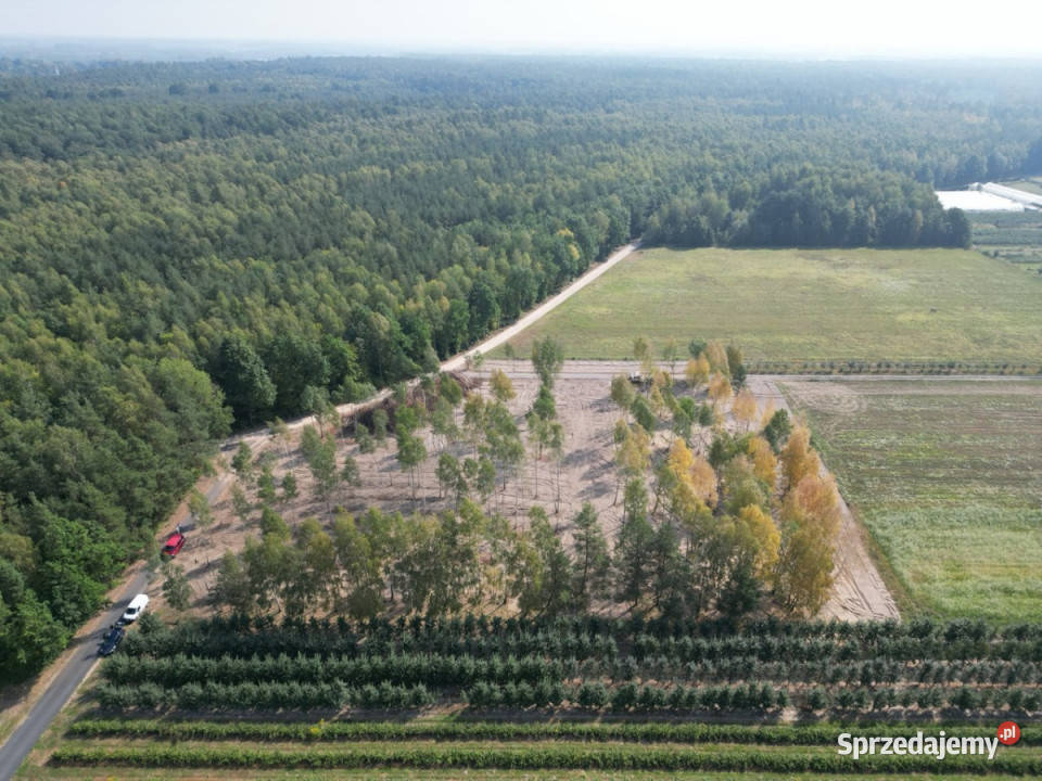 Działki budowlane na sprzedaż40min Pruszkowa mazowieckie Pruszków