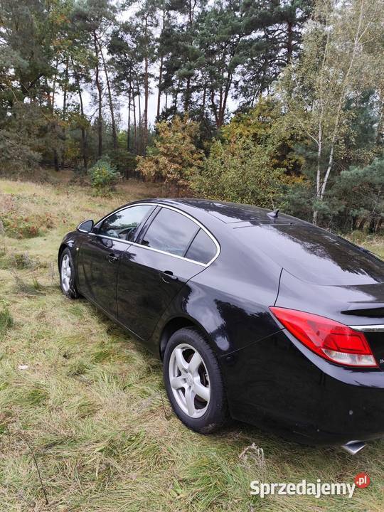 Opel Insignia A Sport Tourer Cosmo 20 CDTI 160 Insignia Leszno Górne